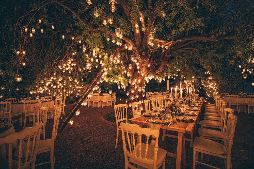 Dinner under the tree